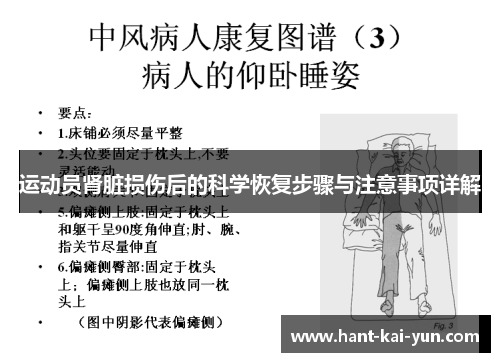 运动员肾脏损伤后的科学恢复步骤与注意事项详解